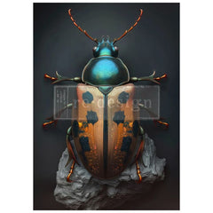 Brass Scarab A1 Decoupage Paper by Redesign With Prima | 23.4” x 33.1”