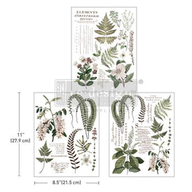 Greenery Grace Middy Furniture Transfer by Redesign With Prima | 8.5” x 11” | Collage Chronicles 2 Collection