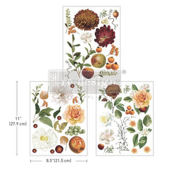 Seasonal Splendor Middy Transfer by Redesign With Prima | 8.5” x 11” | LIMITED EDITION