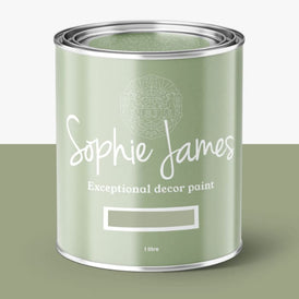 Mineral Paint | Barham Sage | Sophie James Decor Paint