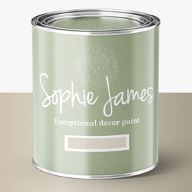 Mineral Paint | Bright Silver LIGHT DYNAMICS | Sophie James